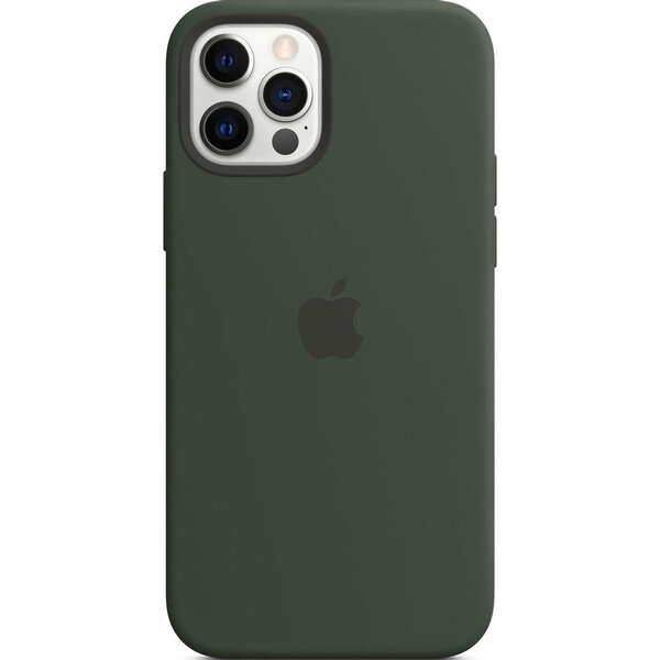 Apple - Silicone Backcover MagSafe voor Apple iPhone 12 (Pro) - Cypress Green