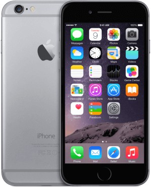 Apple iPhone 6 16Go Gris